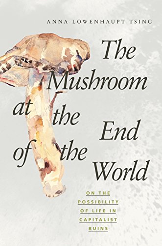 The Mushroom at the End of the World – On the Possibility of Life in Capitalist Ruins