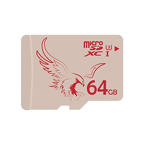 BRAVEEAGLE Tarjeta Micro SD 64GB UHS-I 3 Tarjeta de Memoria Micro SDXC UHS-I para Dashcam (64GB UHS-I 3)