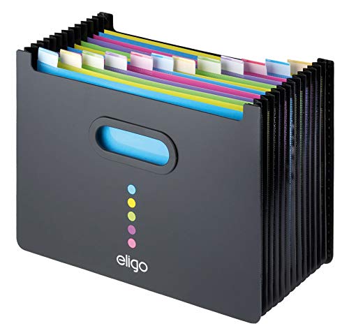 Eligo - Archivador tipo acordeón (13 compartimentos, DIN A4, formato horizontal), color negro