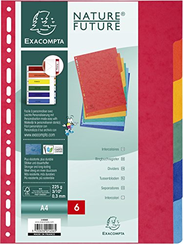 Exacompta Colorspan 1406E - Juego de 6 separadores de cartulina lustrada DIN A4, colores vivos