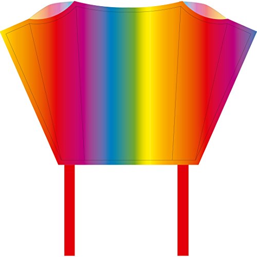 HQ AR-100081 sleddy Rainbow – einleiner Niños Dragón – A Partir de 5 años, 76 x 50 cm (+ 190 cm drachenschanz)