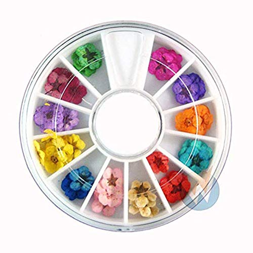 HUIJUNWENTI Mezclar los Colores de secas de la Flor for Las Decoraciones de uñas de Arte de uñas Natural Mixta Flor Seca Adornos de manicura Accesorios 32 (Color : A)