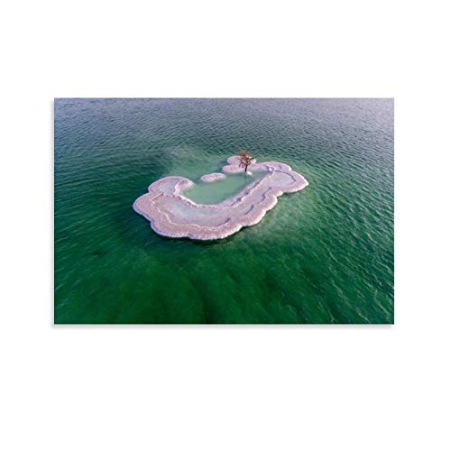 SDFSDF Dead Sea Island Israel - Póster de viaje retro (40 x 60 cm)