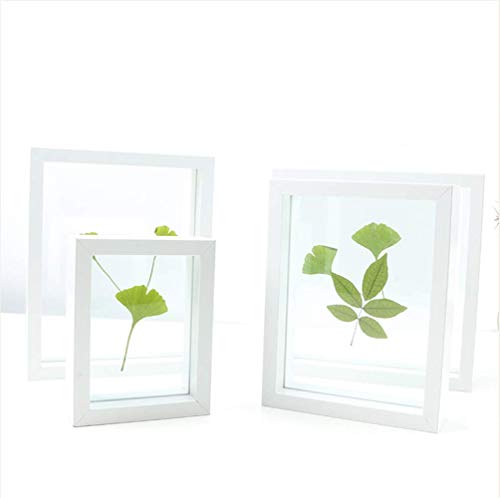 Creativo tridimensional marco de muestra de planta de vidrio de doble cara cuadrado de hoja de árbol 6 7 8 pulgadas marco de fotos A4 marco de imagen configurable A4