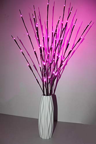 Fantasee - Ramas de luces LED de 76 cm, decorativas, indicadas para interiores de casas, tiendas o escaparates, ideales en jarrones, 6 colores disponibles