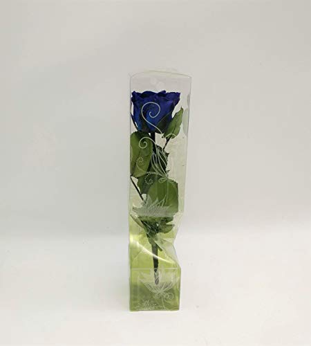 Floréate Rosa eterna preservada Azul Royal de 25 cm