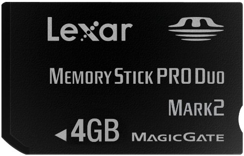 Lexar 4 GB Platinum II Memory Stick Pro Duo 4GB Memoria Flash - Tarjeta de Memoria (4 GB, Negro)