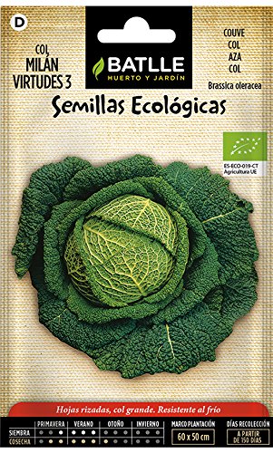 Semillas Ecológicas Hortícolas - Col Milán Virtudes 3- ECO - Batlle