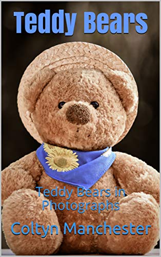Teddy Bears: Teddy Bears in Photographs (English Edition)