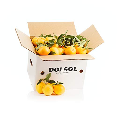 15kg Naranjas Navel DOLSOL. Familia de agricultores con campos en Tavernes de la Valldigna (Valencia) desde 1977. Ideal para comer o para zumo. ¡El sabor es lo nuestro! (15kg)