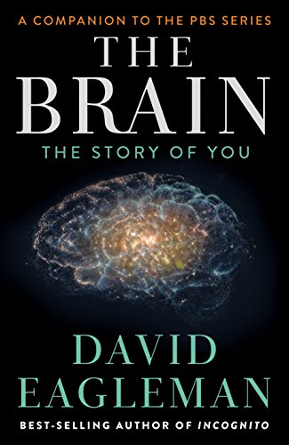 BRAIN: The Story of You