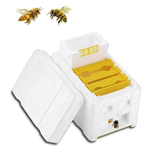Colmena de cosecha - Caja de polinización de abejas, herramienta de cosecha Abeja, apicultura, colmena de abejas