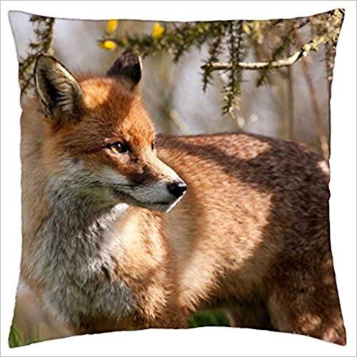 Desconocido Red Fox - Throw Pillow Cover Case,Size:16x16 Inches/40 cm x 40 cm