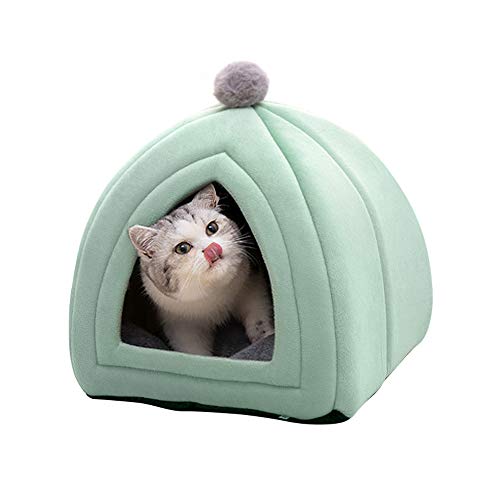 Famgizmo - Caseta para gatos, 47 x 47 x 47 cm, 2 en 1 con cúpulas, cojín extraíble para gatos o perros pequeños, tienda/cama/casa plegable para animales de compañía, color verde
