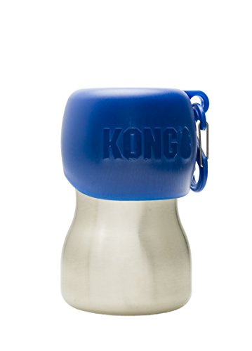 KONG H2O KG95BLU - Botella de agua (acero inoxidable, 0,28 L), color azul