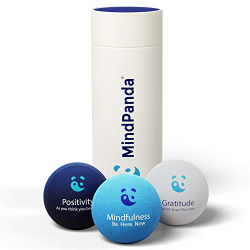 MindPanda Paquete de Bolas antiestrés 3X | Tri-Density para Terapia de Ejercicio Manual - Fragancia para un Enfoque Adicional - Afirmaciones motivacionales (Blue - Mindfulness Stress Balls)