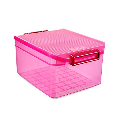 TATAY 1150112 - Caja de Almacenamiento Multiusos con Tapa, 14 l de Capacidad, Plástico Polipropileno Libre de BPA, Rosa Fucsia Translúcido, 27 x 39 x 19 cm