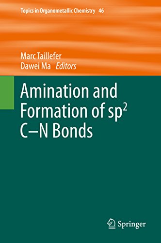 Amination and Formation of sp2 C-N Bonds (Topics in Organometallic Chemistry Book 46) (English Edition)