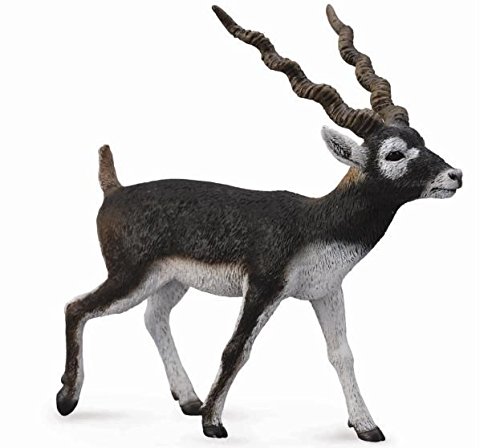 Collecta - Antilope De Cuello Negro (Sasin) -L- 88638 (90188638)