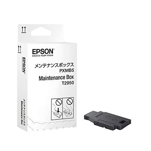 Epson C13T295000 - WF-100 Cartucho de tinta