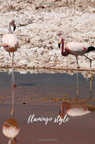 Flamingo Style: Flamingo bird Notebook; Journal Notebook for Writing and Journaling; Diary, Daily Planner, Achieve Goals; Gift idea; 100 pages [Idioma Inglés]