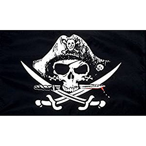 Haobase - Bandera pirata de cráneo pirata (1,5 m x 9 m)