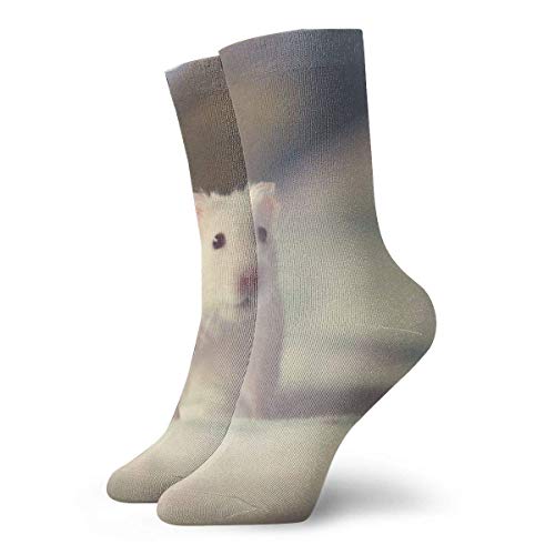 KenFandy Cute White Hamster Adult Short Socks Cotton Sports Socks for Mens Womens Yoga Hiking Cycling Running Soccer Sports