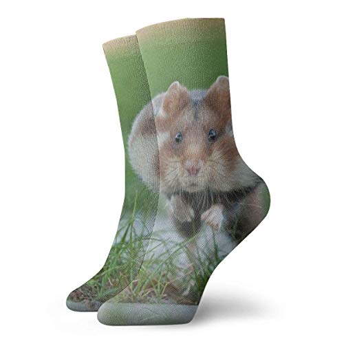 KenFandy Running Little Hamster Calcetines cortos para adultos Calcetines deportivos de algodón para hombres Mujeres Yoga Senderismo Ciclismo Correr Fútbol Deportes