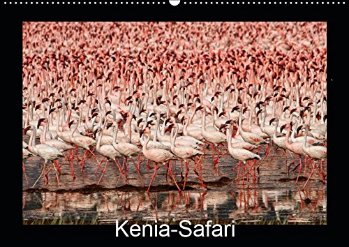 Kenia-Safari (Wandkalender 2019 DIN A2 quer): Bilder einer Safari durch verschiedene Nationalparks in Kenia (Monatskalender, 14 Seiten )