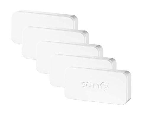 Somfy 2401488, IntelliTag pack 5 unidades, Sensor de puerta, Detector anti intrusiones, Compatible con sistemas de alarma Somfy protect