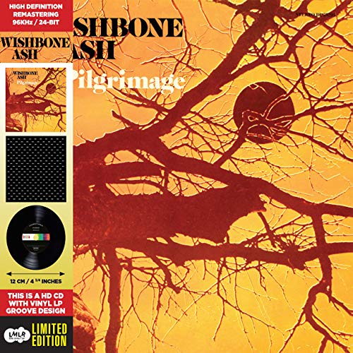 Pilgrimage - Cardboard Sleeve - High-Definition CD Deluxe Vinyl Replica + 1 Titre Bonus