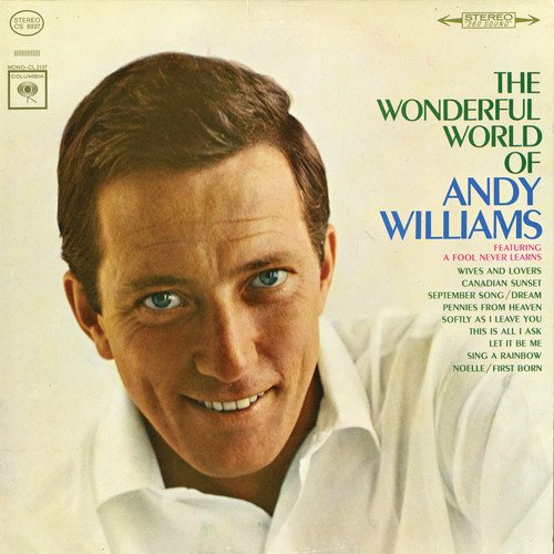 Wonderful World of Andy Willia