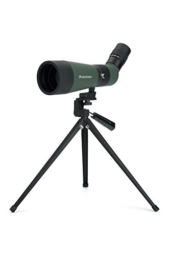 Celestron LandScout - Telescopio terrestre (12-36x aumentos, 60mm de diámetro, 18-14 mm de Distancia Ocular y inclinación de 45 Grados) Color Verde y Negro