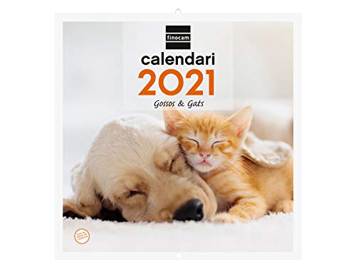 Finocam - Calendario de pared 2021 Escribir Imágenes 30x30 Perros y gatos Catalán