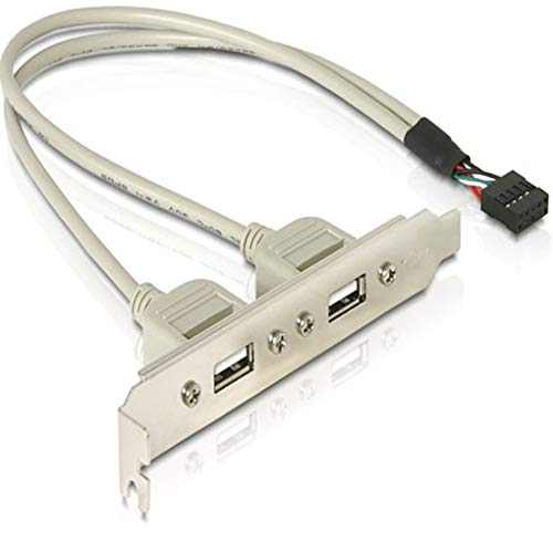 Mingtongli Placa Base 2 Puertos USB 2.0 a 9 Adaptador de Cable Conector Cabecera Soporte de extensión para el Ordenador del Panel Trasero del Soporte 9PIN Extender Cable