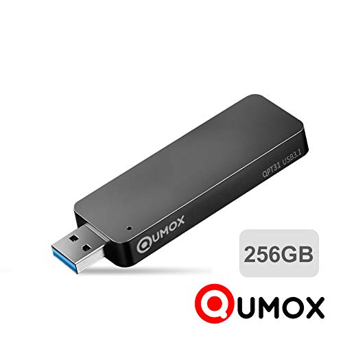 QUMOX Extreme USB 3.1 - Portable Mini Flash SSD (256 GB, hasta 420MB/s de Velocidad de Lectura) Color Negro