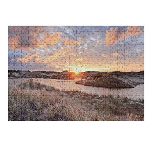 Scott397House Jigsaw Puzzles 500 Pieces for Adults, Large Piece Puzzle Dune Splendor Ludington State Park Michigan Stock R26 Fun Game Toys Birthday Gifts Fit Together