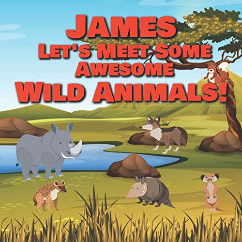 James Let's Meet Some Awesome Wild Animals!: Personalized Children's Books - Fascinating Wilderness, Jungle & Zoo Animals for Kids Ages 1-3