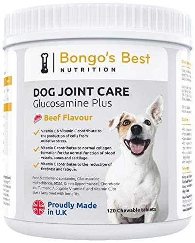 Mayfair Nutrition Cuidado de Las articulaciones de Perros de Bongo’s Best – Suplemento de glucosamina y mejillón de Labio Verde de máxima Calidad para Perros de Todo tamaño y Edad