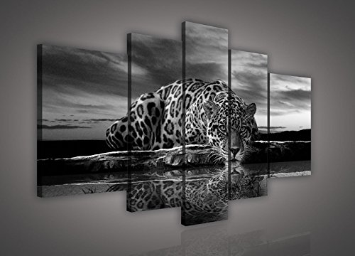 DekoShop Cuadro de Jaguar en blanco y negro, lienzo AMDPS171S4A S4A (170 cm x 100 cm, 1 x 30 x 100 cm, 2 x 30 x 80 cm, 2 x 40 x 60 cm), 5 piezas