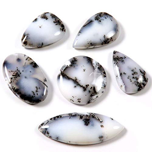 Gems&JewelsHub Piedra natural de ópalo de dendrita 6 piezas de cabujón al por mayor 115.15 ct LBD70