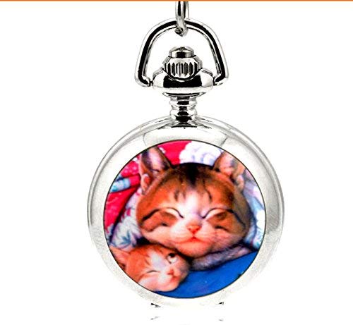 Reloj de bolsillo con diseño de gato vintage chapado en plata, collar hecho a mano, reloj de bolsillo, joyería para mujeres, hombres y niños regalos
