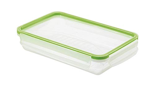 Rotho Clic & Lock, Lata de comida fresca de 1l con tapa y sello, Plástico PP sin BPA, transparente, verde, 1l 23.9 x 16.0 x 5.0 cm