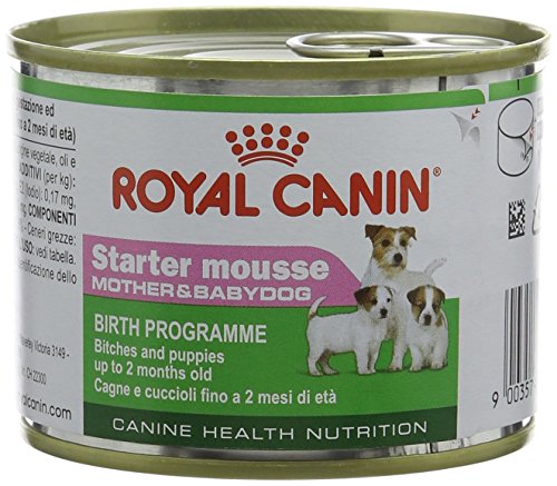 Royal Canin Starter Mousse, Comida para perros, 12x195 gr