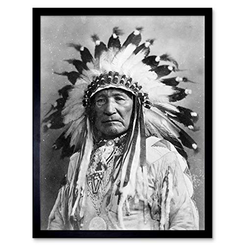 Wee Blue Coo Vintage Native American Dian Mountain Chief Art Print Framed Poster Wall Decor 12X16 Inch