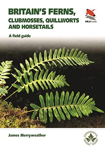 Britain's Ferns: A Field Guide to the Clubmosses, Quillworts, Horsetails and Ferns of Great Britain and Ireland (WILDGuides of Britain & Europe)