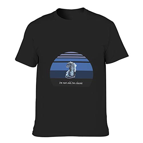Camiseta de algodón para hombre, diseño con texto en alemán "Ich nicht alt". negro XXXXL