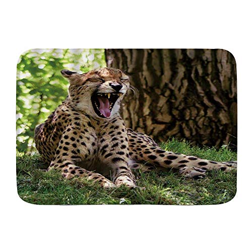 kThrones Alfombra de baño Suave,bostezo de Leopardo acostado en el Bosque con la Boca Abierta y Ojos Cerrados,alfombras de baño con Respaldo Antideslizante(80cm x 60cm)