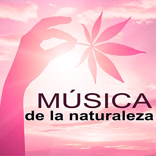Música de la Naturaleza - Bosque y Rio, Sonidos Naturales para Perfecto Equilibrio Entre Cuerpo y Mente