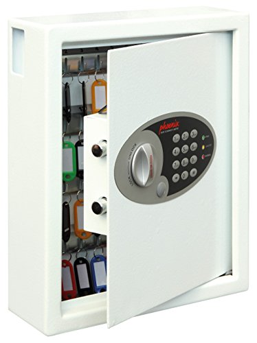 Phoenix Safes 0032 - Caja electrónica (para 48 llaves, 69 kg, 300 x 100 x 365 mm)